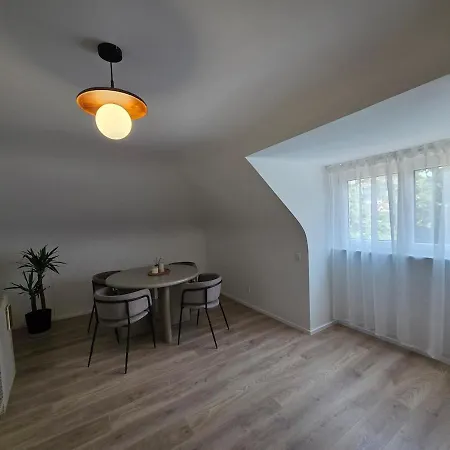 Design-dachgeschosswohnung Am Schwarzwald פורצהיים